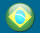 Portugues Brasileiro